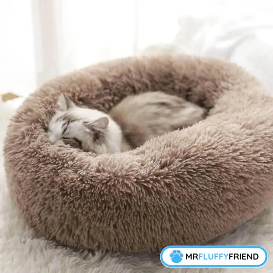 Image principale : un chat tout doux qui dort paisiblement dans un lit rond beige bien cosy — parfait pour le thème “Les chats font-ils des cauchemars ?”