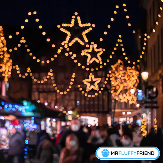 Image mise en avant pour un blog « Guide des marchés de Noël en France avec votre chien » montrant un marché de rue festif la nuit, décoré de guirlandes lumineuses et d’étoiles, créant une atmosphère chaleureuse