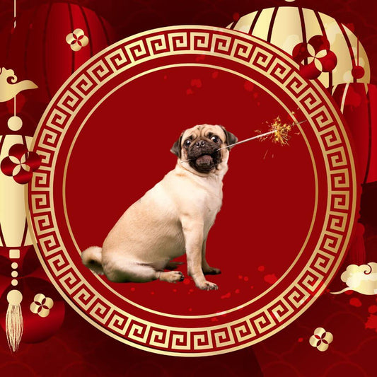 cny-nourriture-pour-animaux