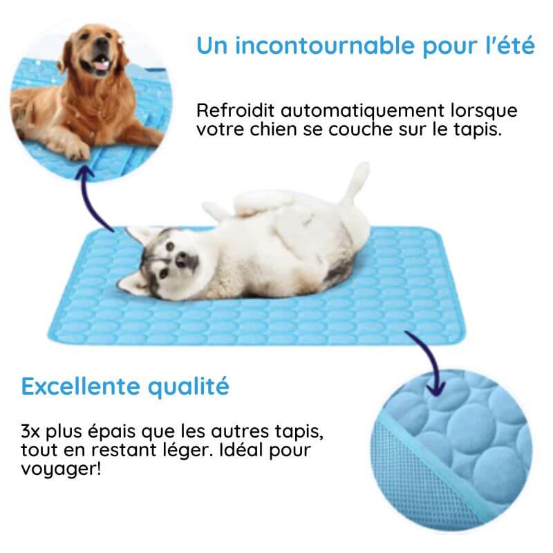 MrFluffyFriend® - Tapis rafraîchissant pour chien