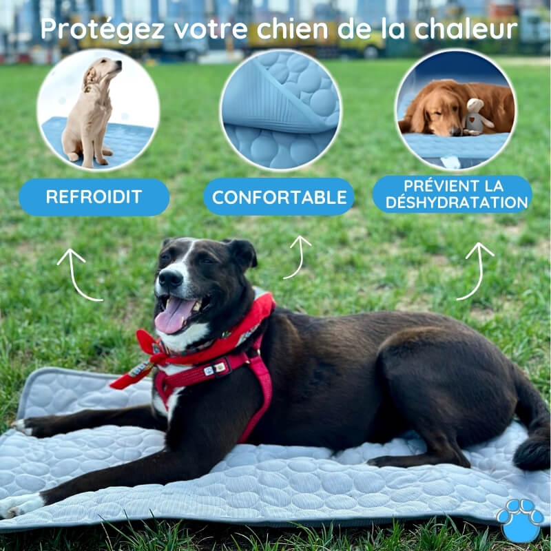 MrFluffyFriend® - Tapis rafraîchissant pour chien