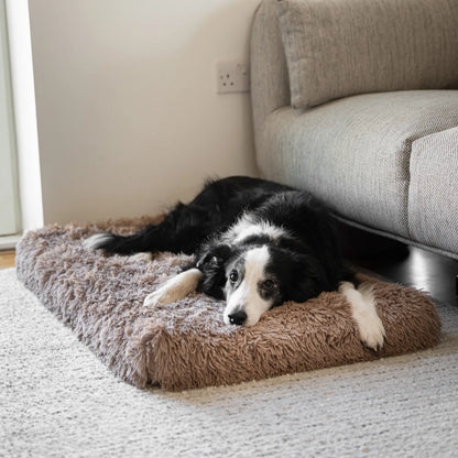 MrFluffyFriend - Coussin Orthopédique Pour Chiens De Taille Moyenne