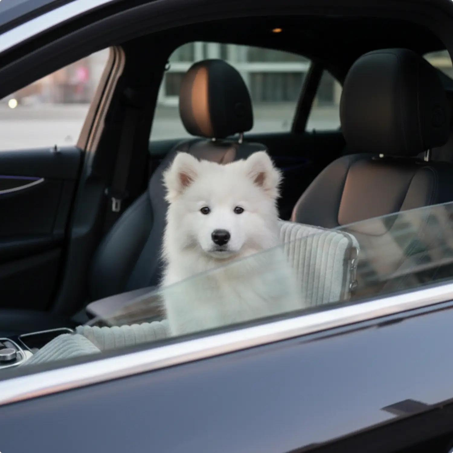 MrFluffyFriend - Le Meilleur Siège Auto Moelleux Pour Chiens