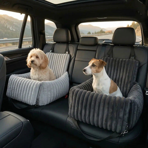 Rends chaque trajet en voiture sûr et confortable pour ton chien